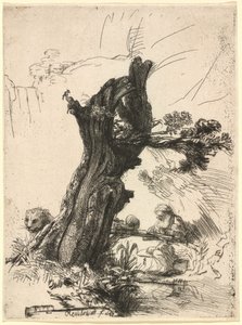 Svatý Jeroným vedle Pollard Willow od Rembrandt van Rijn