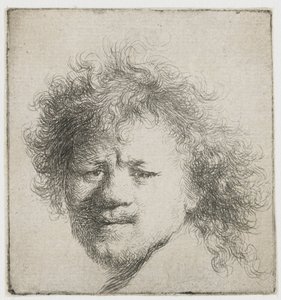 Autoportrét s dlouhými huňatými vlasy: pouze hlava od Rembrandt van Rijn