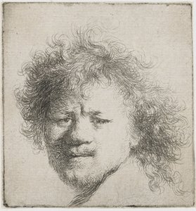 Autoportrét s dlouhými huňatými vlasy: pouze hlava, cca 1631. od Rembrandt van Rijn