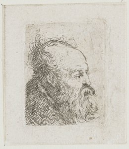 Série studií mužských hlav: starý vousatý muž téměř v profilu směrem doprava: ústa napůl pootevřená od Rembrandt van Rijn