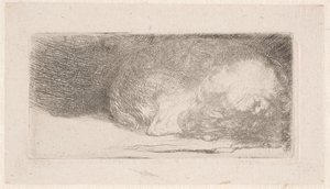 Spící štěně od Rembrandt van Rijn