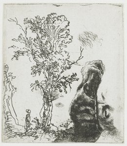 Studijní skica se stromem a horní částí Rembrandtovy hlavy s baretem od Rembrandt van Rijn