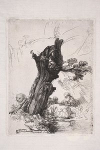 Svatý Jeroným píše u kmene vrby od Rembrandt van Rijn