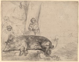 Prase od Rembrandt van Rijn