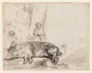 Prase od Rembrandt van Rijn