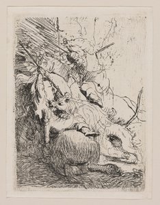 Lov malého lva (s jedním lvem) od Rembrandt van Rijn