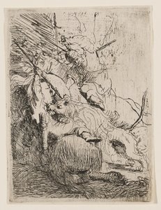 Lov na malého lva (s jedním lvem) od Rembrandt van Rijn