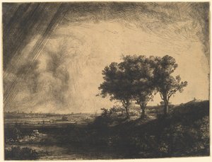 Tři stromy od Rembrandt van Rijn