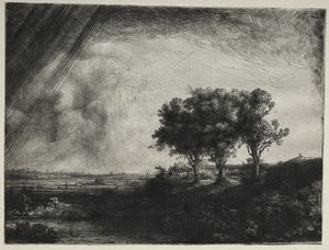 Tři stromy od Rembrandt van Rijn