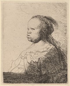 Bílá Negress od Rembrandt van Rijn