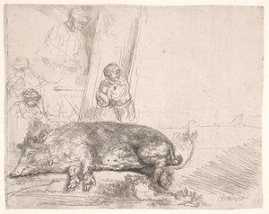 Prase od Rembrandt van Rijn