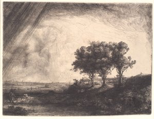 Tři stromy od Rembrandt van Rijn