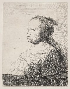 Bílá černá od Rembrandt van Rijn