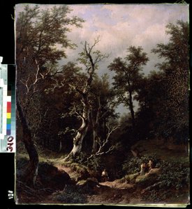 Paysage de foret (lesní krajina). Peinture de Remigius Adrianus van Haanen (Remy ou Remi Adrien van Hannen od Remigius van Haanen