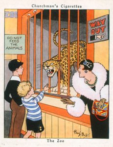 Zoo (barevná litografie)