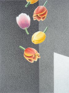 Tulipány od Rene Boin