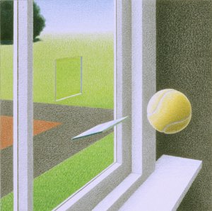 Okno od Rene Boin