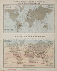 Přílivová mapa a mapa distribuce rostlin po celém světě, c 1850 od John Pardon