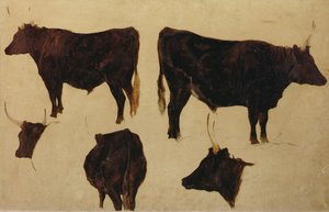 Studie dlouhorohého skotu (olej na desce) od Richard Ansdell