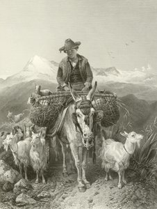 Pastýř z Granady od Richard Ansdell