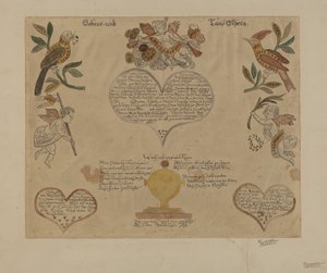 Zlomenina od Richard Barnett