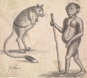 Opice (jedna ze tří na jednom hoře) od Richard Brookes