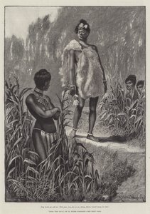 Nada the Lily, od H Rider Haggard
