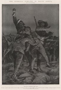 Guerilla Warfare v Jižní Africe
