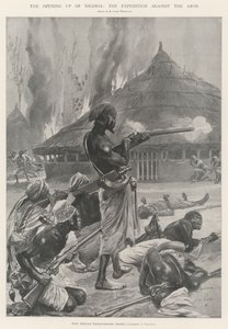 Otevření Nigérie, výprava proti Arosům