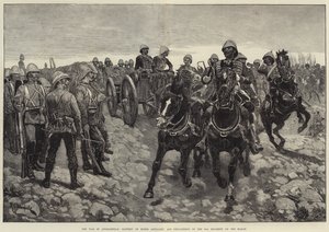 Válka v Afghánistánu, baterie koňského dělostřelectva a odřad 66. pluku na březen