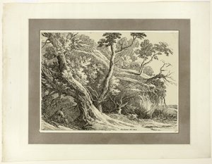 Krajina s velkými stromy, z prvního vydání Ukázek polyautografie od Richard Cooper II