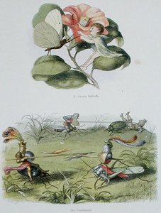 Tančící motýl a Turnaj, ilustrace z „In Fairyland: A Series of Pictures from the Elf-World“ od Williama Allinghama a Andrewa Langa (barevné lito) od Richard Doyle