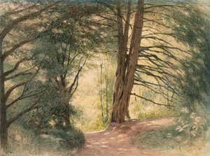 Box Hill, Surrey od Richard Doyle