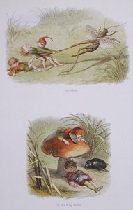 Krutí elfové a Spící král elfů, ilustrace z knihy V říši pohádek: Williama Allinghama a Andrewa Langa (barevná litografie). od Richard Doyle