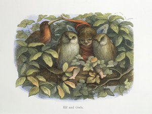 Elf a sovy od Richard Doyle