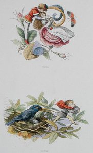 Flirtování a krádež, ilustrace z „In Fairyland: A Series of Pictures from the Elf-World“ od Williama Allinghama a Andrewa Langa (barevné lito) od Richard Doyle