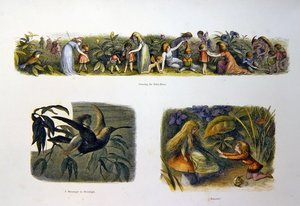 V zemi víl od Richard Doyle