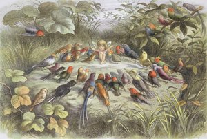 Hudební zkouška v pohádkové zemi (ilustrace z "V pohádkové zemi. Obrázky z pohádkového světa", William Allingham a Andrew Lang