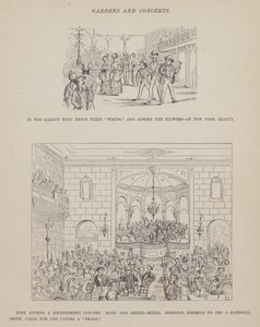 Stránka z The American Tour of pánů Brown, Jones a Robinson (rytina) od Richard Doyle