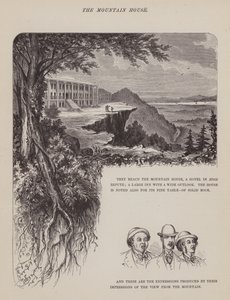 Stránka z The American Tour of pánů Brown, Jones a Robinson (rytina) od Richard Doyle