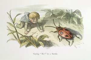 Říct ne! na brouka od Richard Doyle