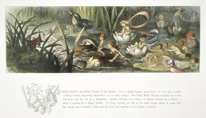 Lekníny a vodní víly od Richard Doyle