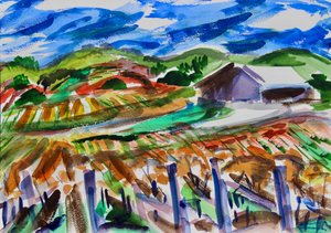 Napa na podzim 2017 od Richard Fox