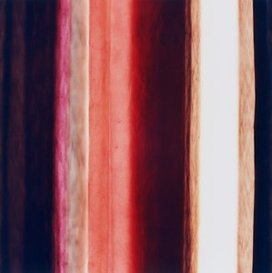 Stripe XI, 2005 od Richard Green