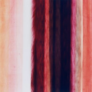 Stripe X, 2005 od Richard Green