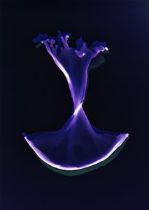 Bez názvu, 2004 od Richard Green