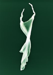 Bez názvu, 2004 od Richard Green