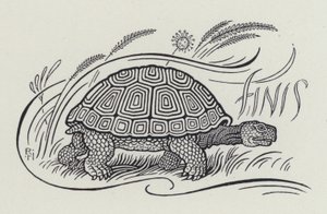 Hare And The Tortoise (rytina)