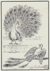 The Jay And The Peacock (rytina)