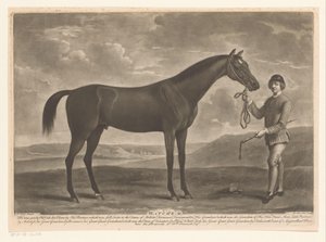 Racepaard se setkal s žokejem Matchem (název na objektu)